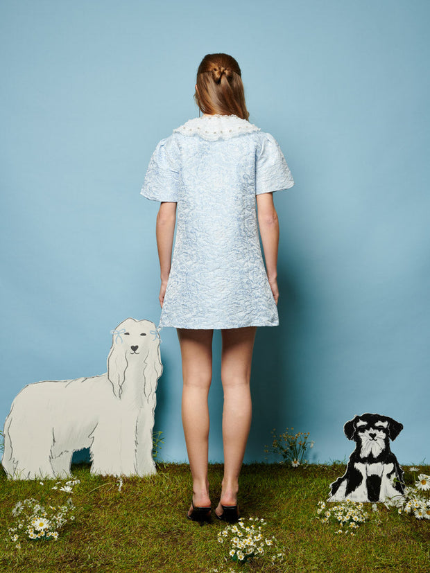 Squirrel Jacquard Mini Dress