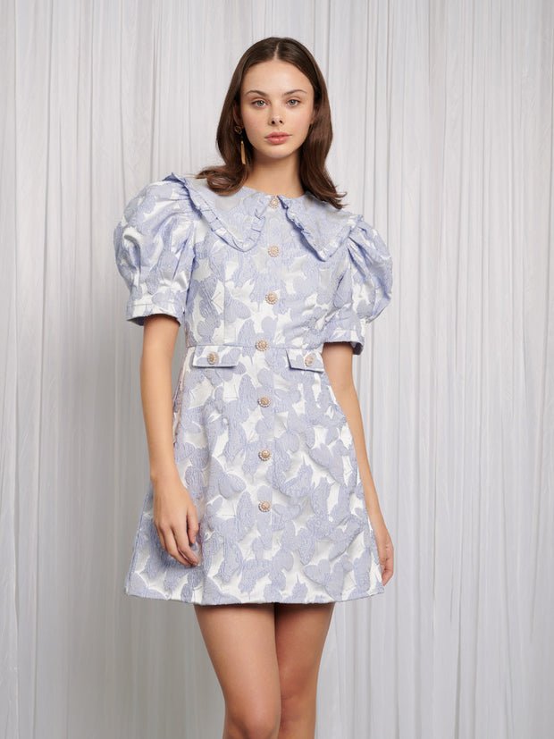 Lacewing Mini Dress