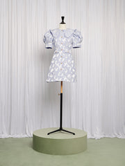 Lacewing Mini Dress
