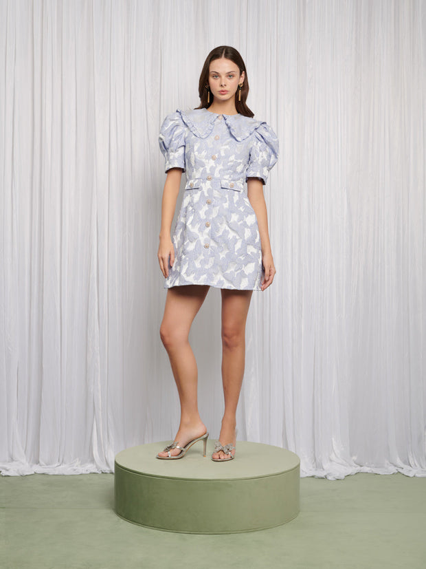 Lacewing Mini Dress