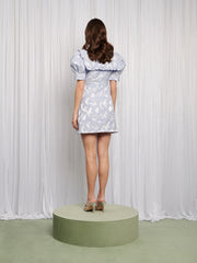 Lacewing Mini Dress