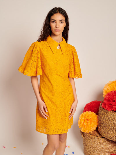 Fuego Lace Mini Dress Celosia Orange / Z