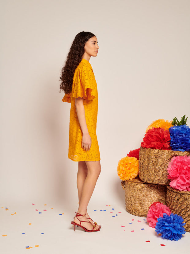 Fuego Lace Mini Dress Celosia Orange / Z
