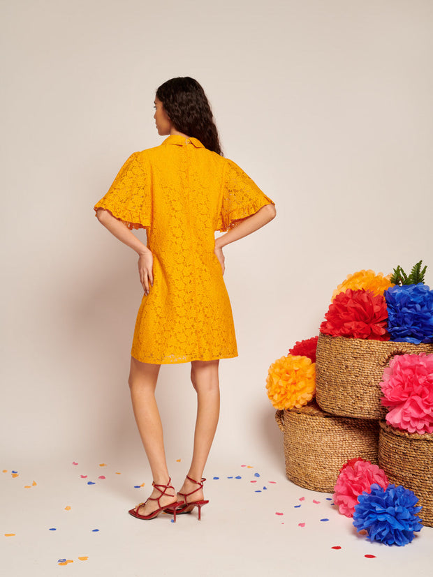 Fuego Lace Mini Dress Celosia Orange / Z