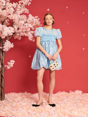 <b>DREAM</b> Brooke Organza Mini Dress