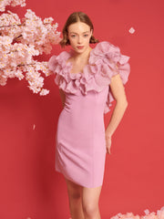 <b>DREAM</b> Blooming Ruffles Mini Dress