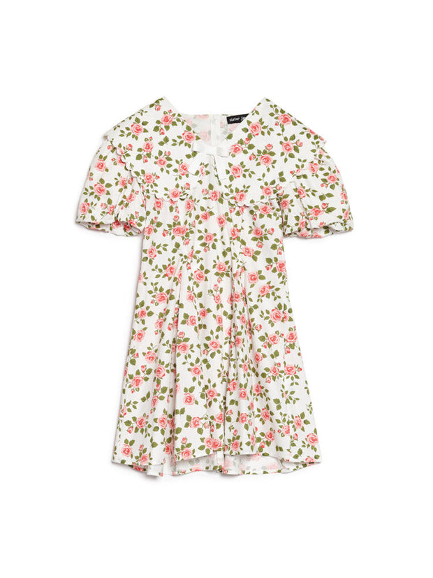 Wild Rose Mini Dress