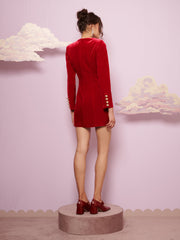 <b>DREAM</b> Margot Velvet Mini Dress